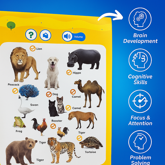 Cubby joy English Words Sound Book